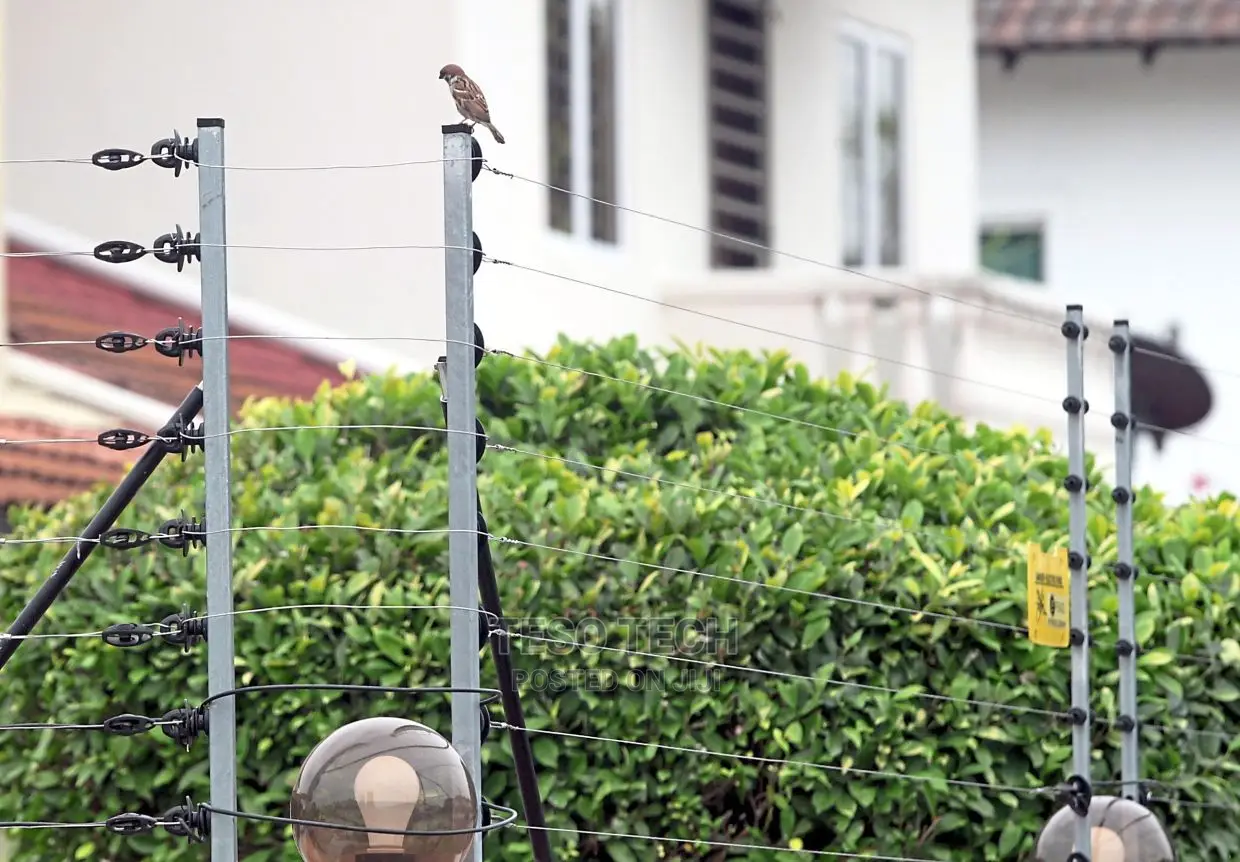 Best Electronic Fence