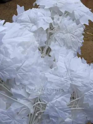 Jingo Leaf Flowers