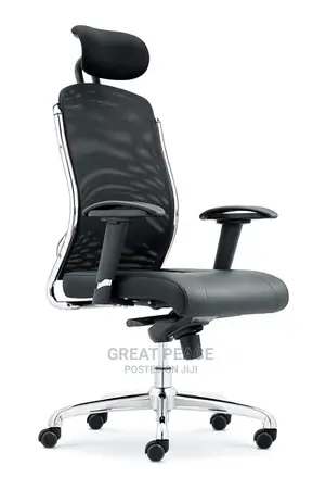 Ergonomic Chair