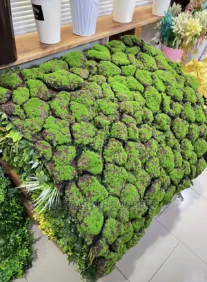 Moss Panel
