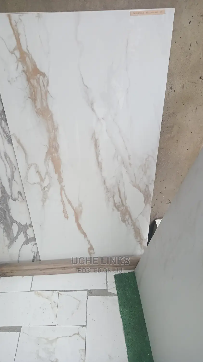 60x120 Carlrala White
