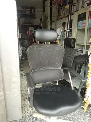 Ergonomic Chair