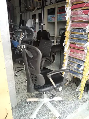 Ergonomic Chair