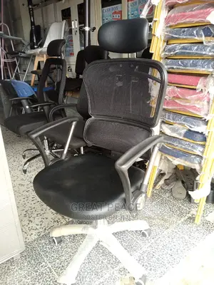 Ergonomic Chair