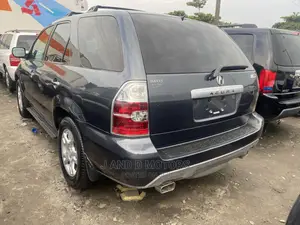 Acura MDX 2006 Gray