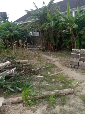Certificate of Occupancy