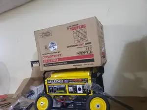 4.5KVA Elepaq Constant Sv6800e2 Generator