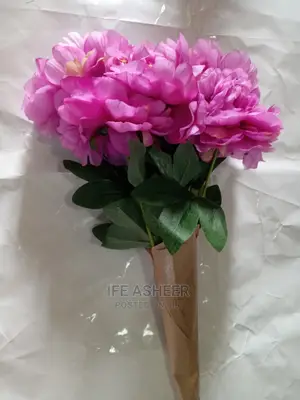 Beautiful Rose Flower For Lovers 003