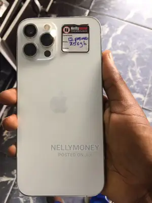 Apple iPhone 12 Pro Max 256 GB Silver