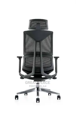 Ergonomic Chair