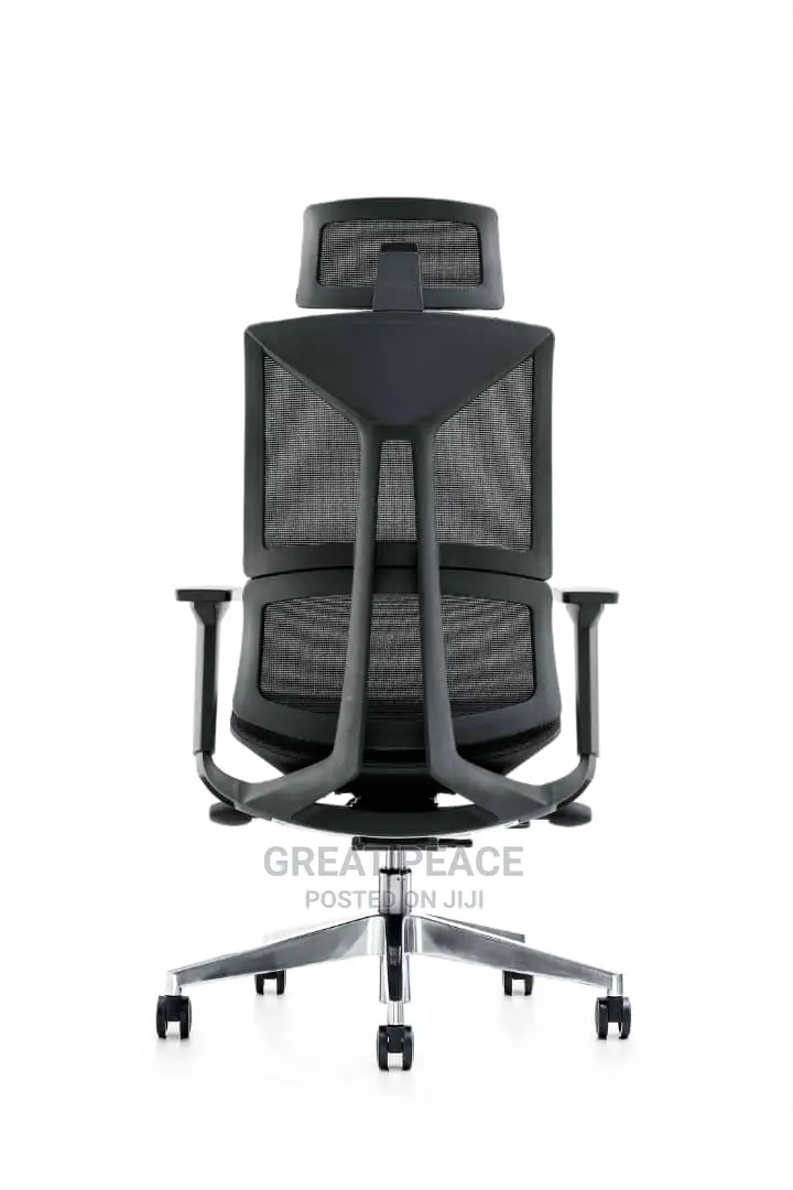 Ergonomic Chair