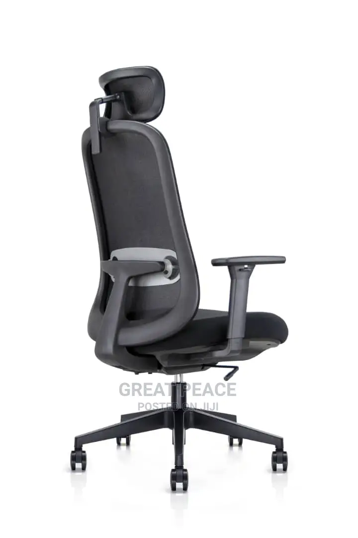 Ergonomic Chair