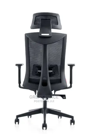 Ergonomic Chair