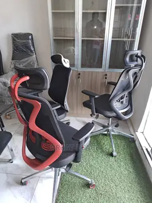 Ergonomic Chair