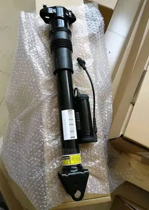 Mercedes Benz Shock Absorber W251 R Class