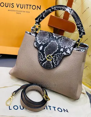 Photo - Louis Vuitton Luxury (Female)Handbag Comes IN FULL PACKAGE