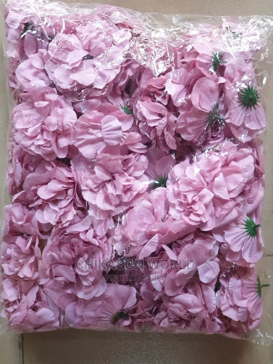 Beautiful Rose  Flowers