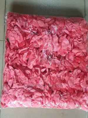 Beautiful Rose  Flowers