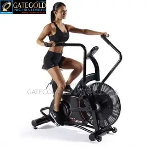 (Air Bike) Sole Sb800 Air Cycle