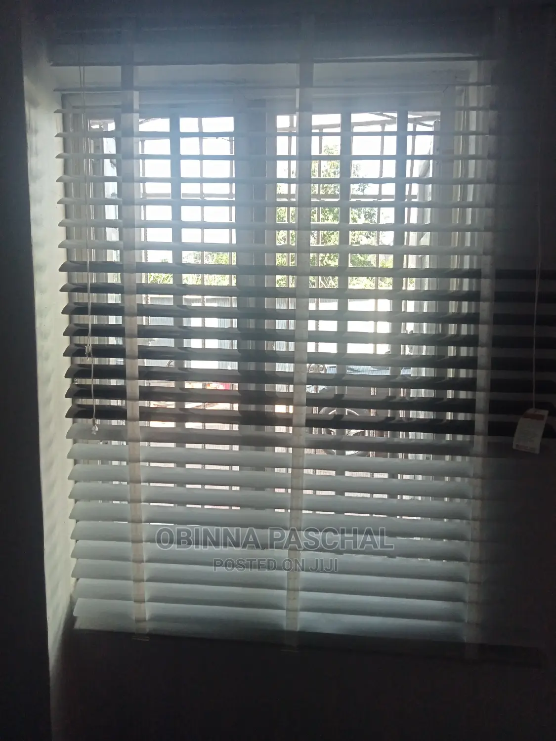 Window Blinds