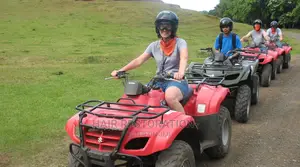 ATV Quad Bikes Polaris - Powered Ride-On Quad