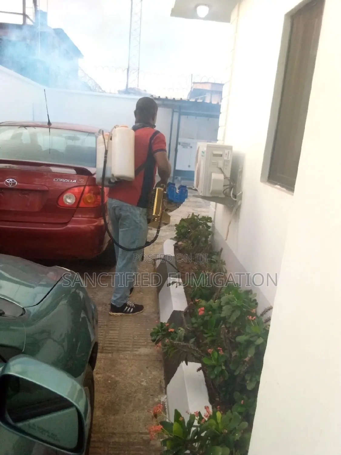 Mosquitoes Fumigation Prof