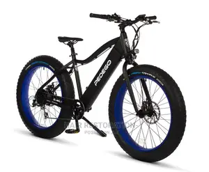 Electric Bikes Exercise Bicycles