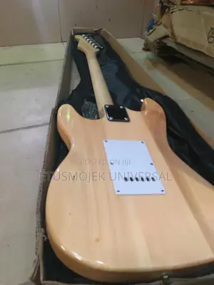 Professional Lead Guitar/24 Flets
