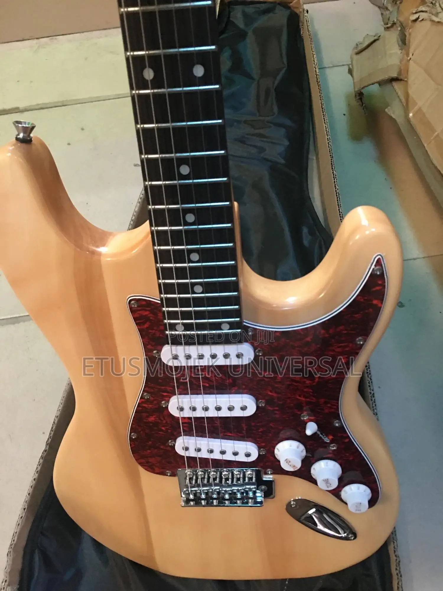 Professional Lead Guitar/24 Flets