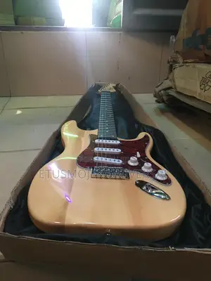 Professional Lead Guitar/24 Flets