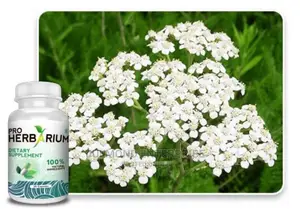 Photo - Pro Herbarium