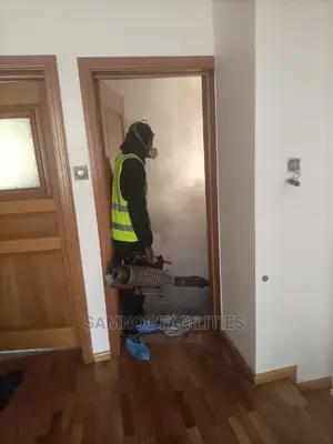 General Fumigation of a Duplex in VI Lagos