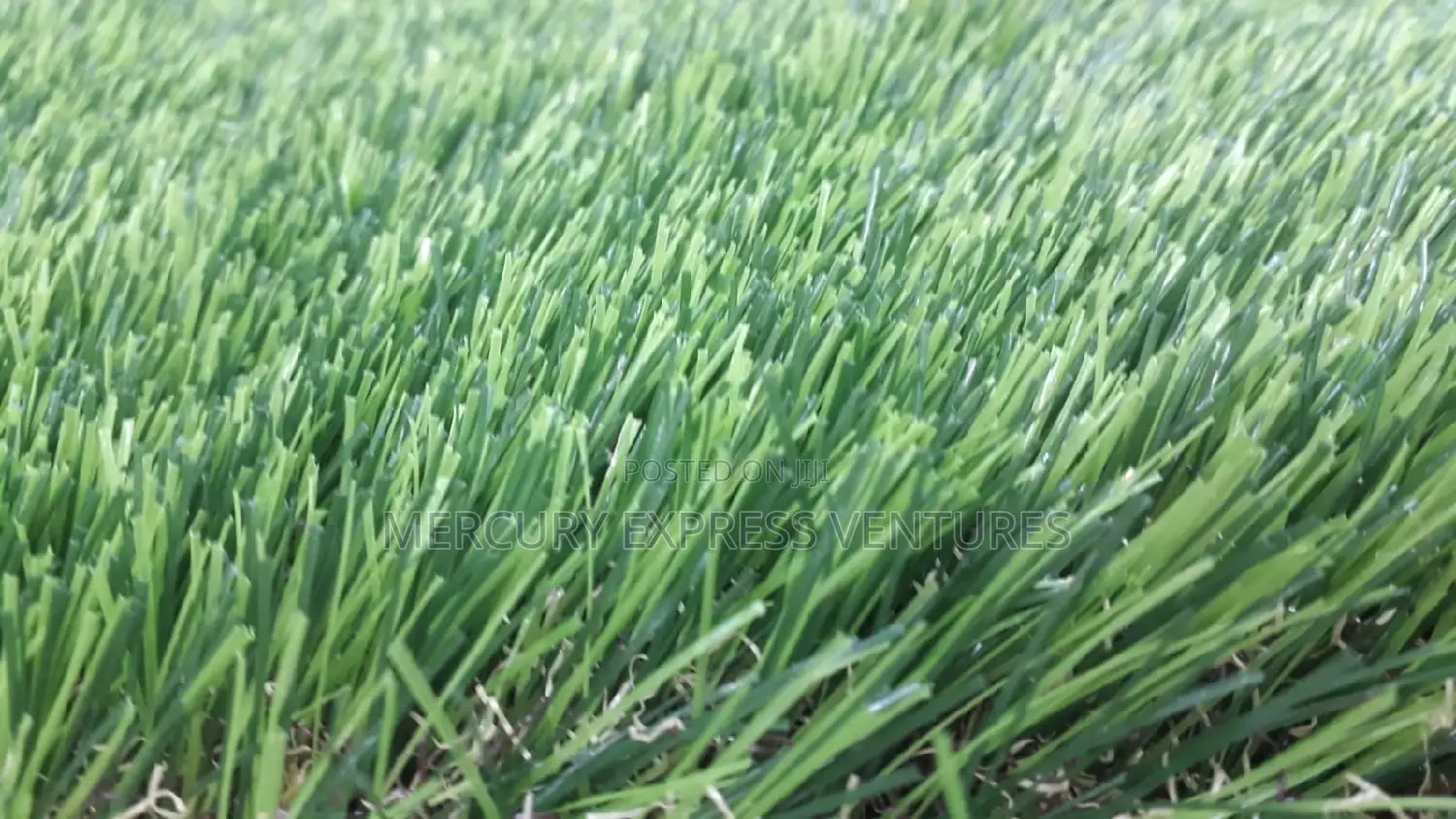 Artificial Grass (Turf)
