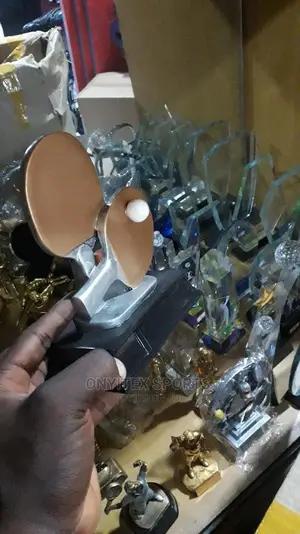 Table Tennis Standard Awards