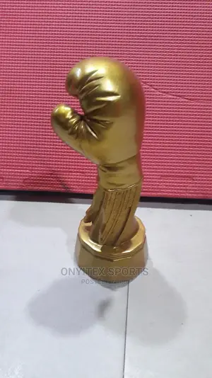 Awards for Boxing