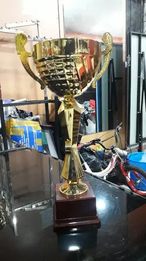 Brand New Standard Trophy Award