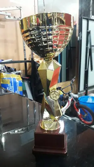 Brand New Standard Trophy Award