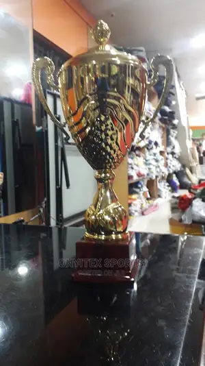 Soccer Winning Trophy Award