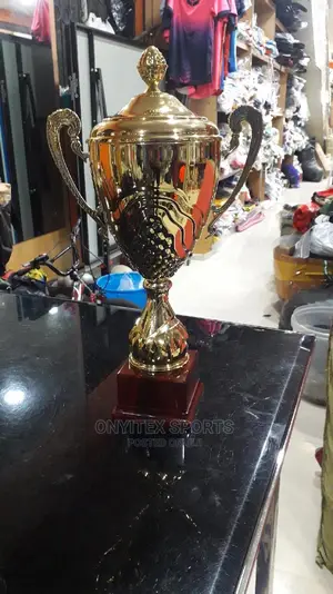 Soccer Winning Trophy Award