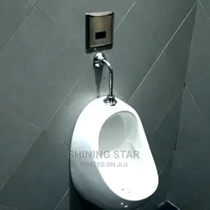 Sensor Urinal Bowl