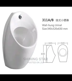 Sensor Urinal Bowl