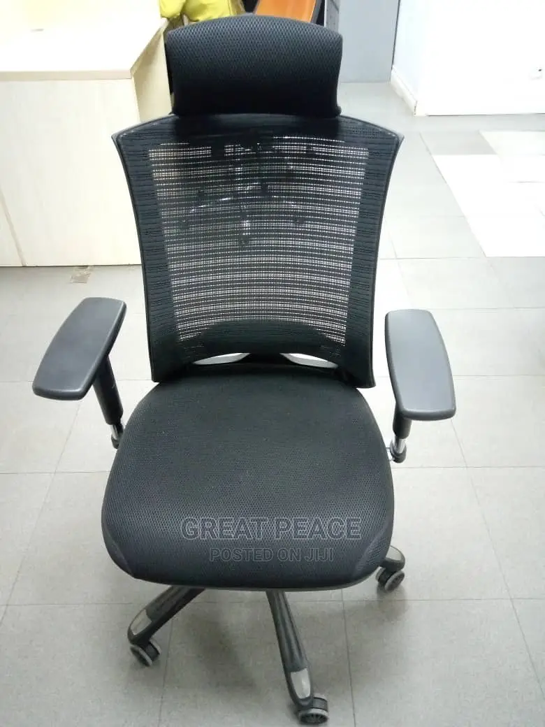 Ergonomic Chair