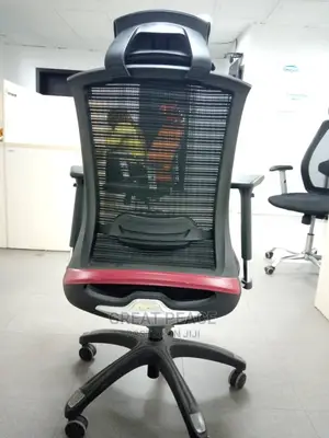 Ergonomic Chair