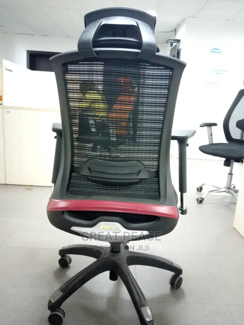 Ergonomic Chair
