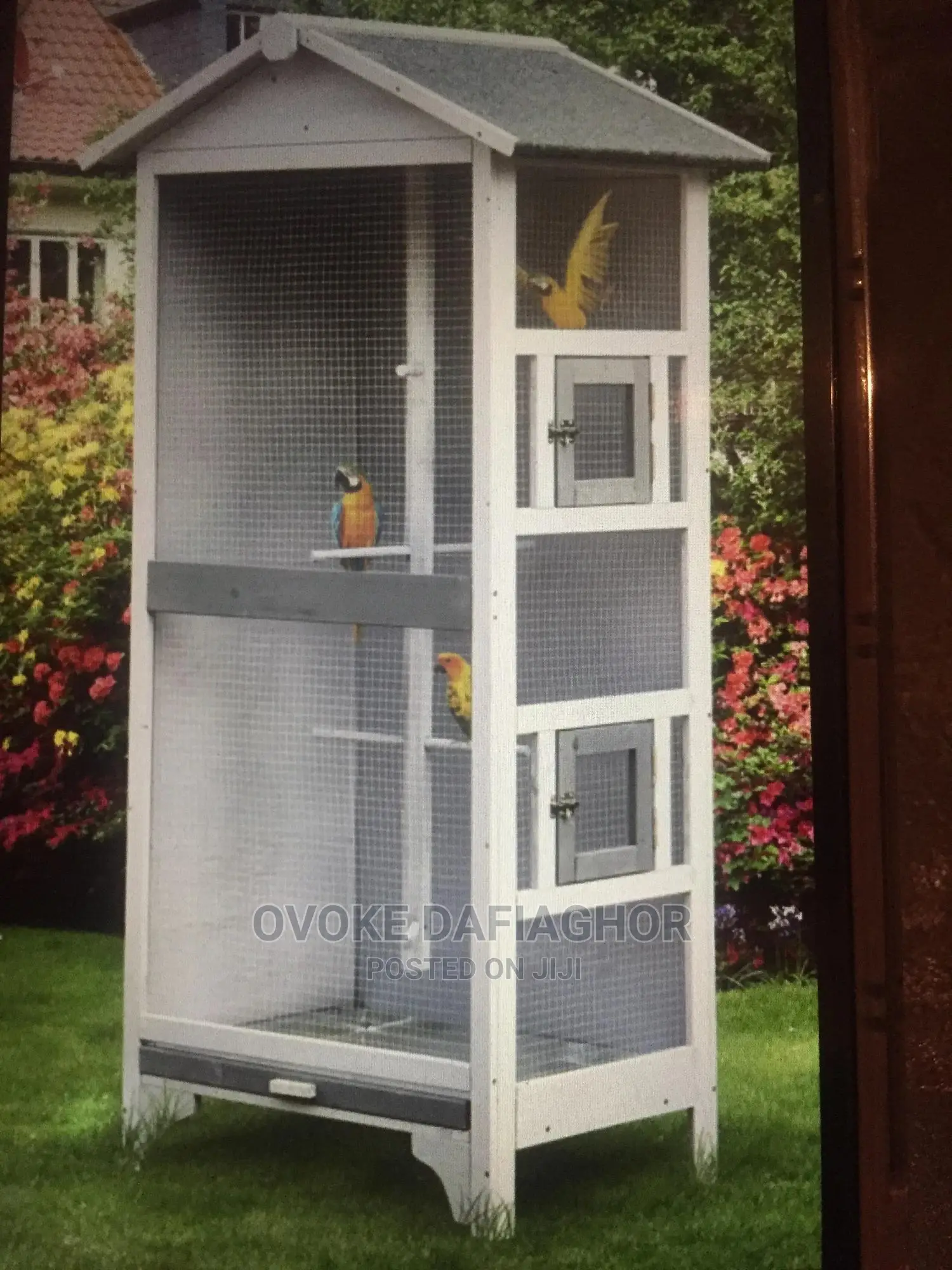 Aviaries Are Large Housing for Multiple Birds