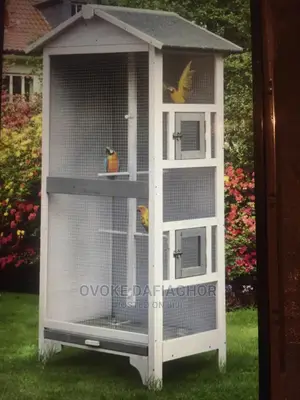 Aviaries Are Large Housing for Multiple Birds