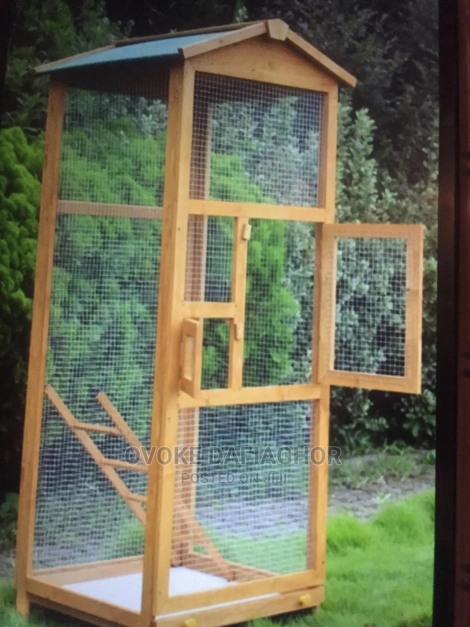 Aviaries Are Large Housing for Multiple Birds
