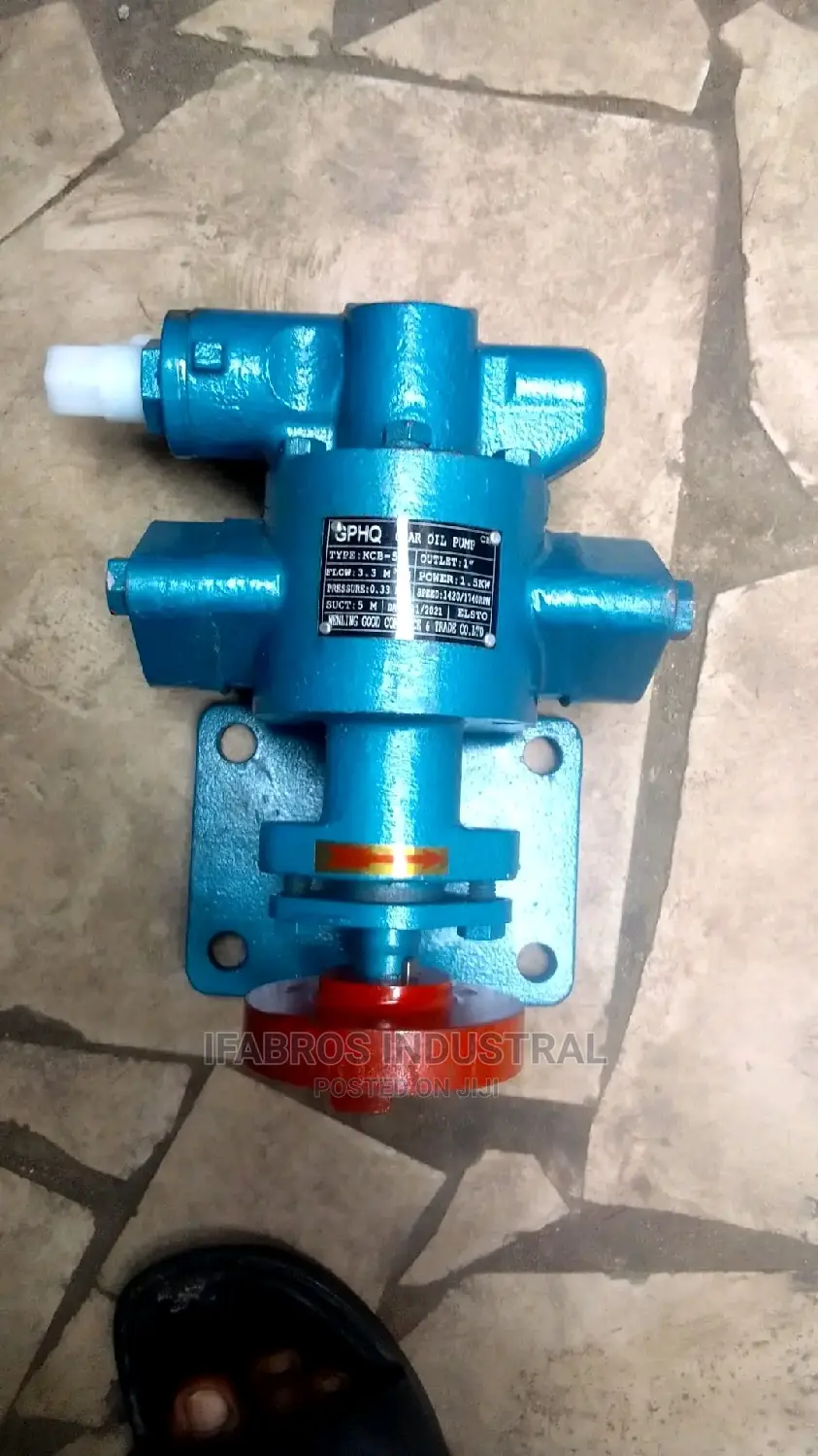 Gear Pump Only the Head