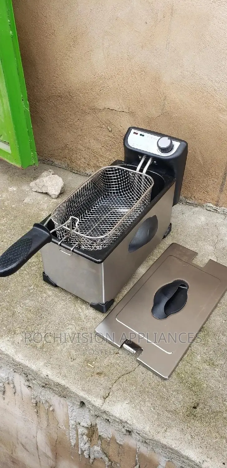 Electric Deep Fryer
