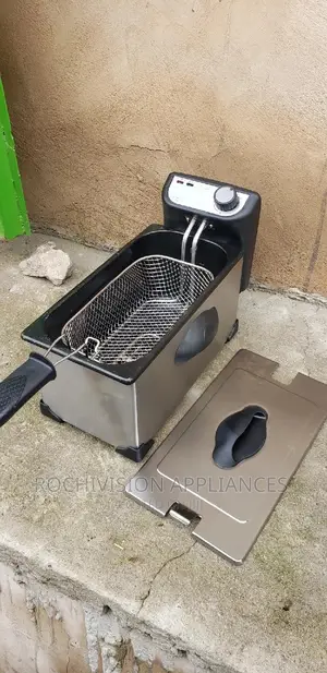 Electric Deep Fryer